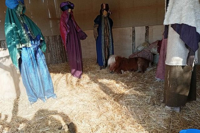 Πόνυ σε φάτνη στον Βόλο