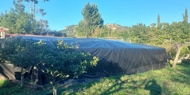 Εξαρθρώθηκε κύκλωμα διακινητών υδροπονικής κάνναβης στη Ρόδο