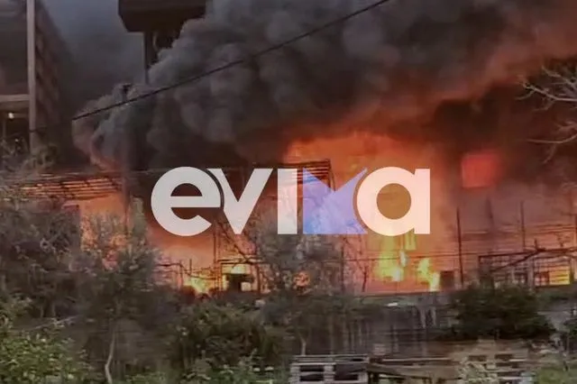 Φωτιά στην Χαλκίδα