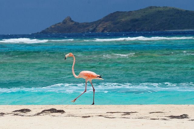 Η τελευταία φορά που οι ΗΠΑ πήραν κάποιο νησί από τη Δανία