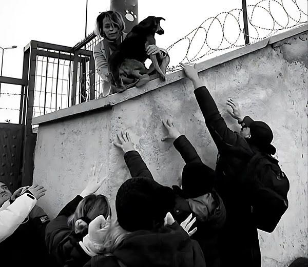 Τhe Rescue of Firuze