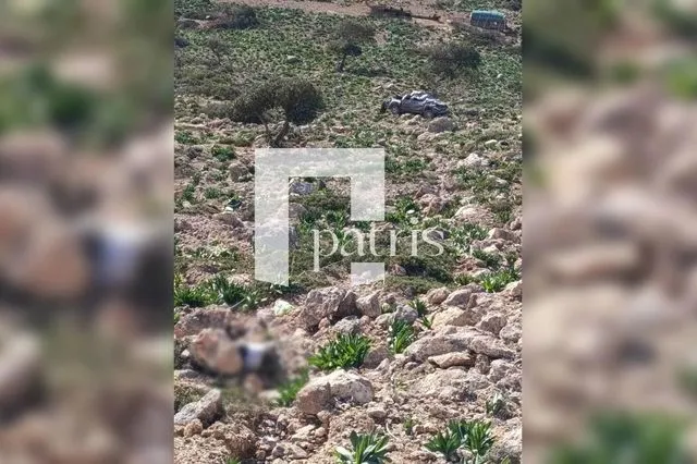 Κρήτη: Αυτοκίνητο έπεσε σε γκρεμό – Χωρίς τις αισθήσεις του ο οδηγός