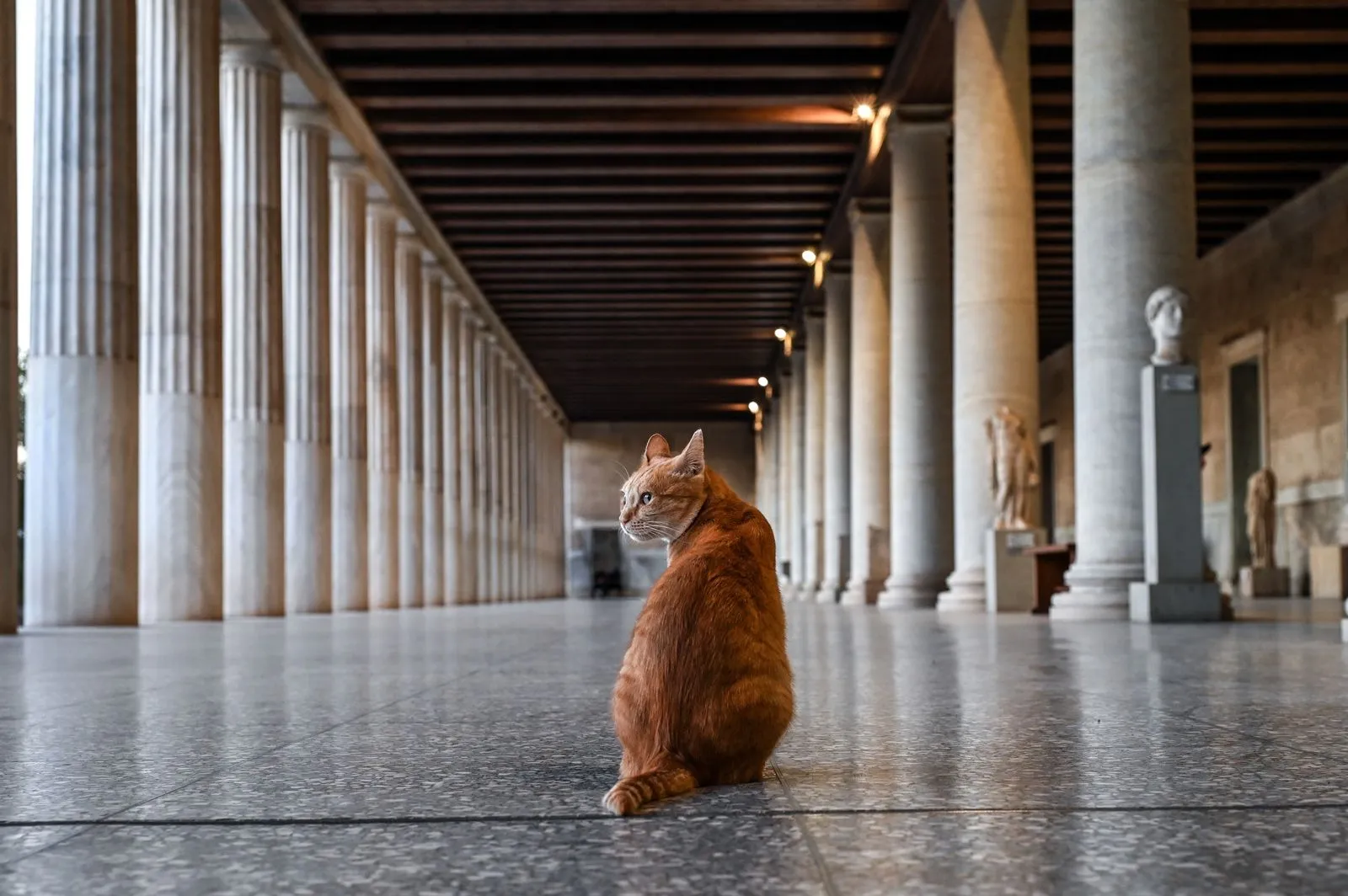 H Στοά του Αττάλου