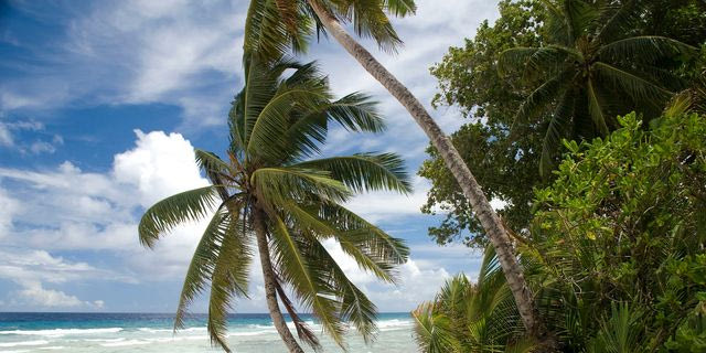 Νήσοι Τσάγκος