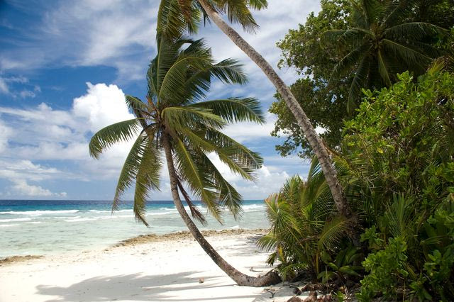 Νήσοι Τσάγκος