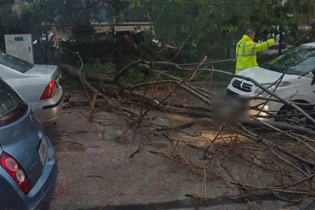Κακοκαιρία: Έπεσε δέντρο σε εν κινήσει όχημα στο Περιστέρι