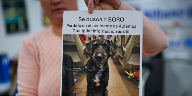 Ισπανία: Βρέθηκε ζωντανός μετά από τέσσερις ημέρες ο σκύλος που αγνοείτο