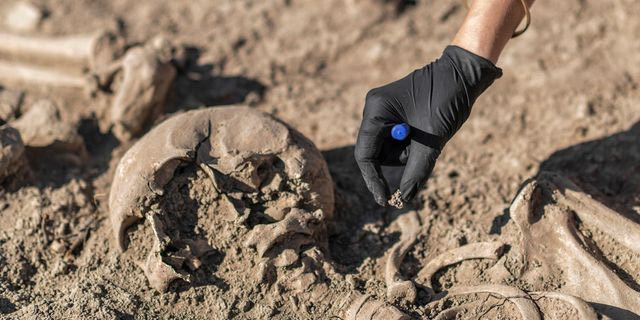 Ομαδικός τάφος στην Ιορδανία “φωτίζει” την αρχαιότερη καταγεγραμμένη πανδημία του κόσμου