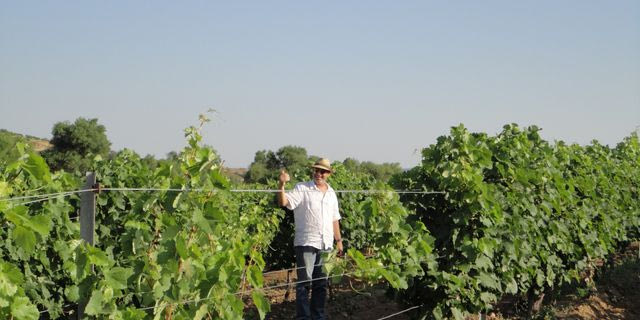 Κοτσιφάλι, Ροδίτης, Λημνιώνα: Τα κρασιά των μικρών οινοποιών έχουν μεγάλο ενδιαφέρον