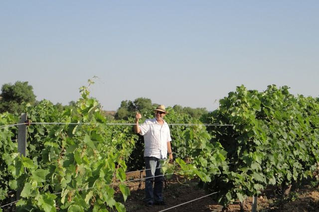 Κοτσιφάλι, Ροδίτης, Λημνιώνα: Τα κρασιά των μικρών οινοποιών έχουν μεγάλο ενδιαφέρον