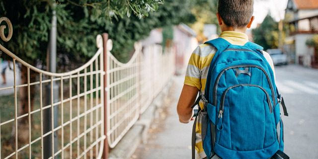 Ζάκυνθος: Μαθητής γυμνασίου πήγε στο σχολείο του με πιστόλι