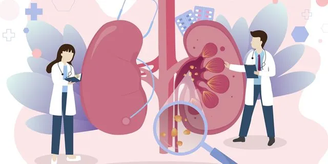 Σημαντική για τη ζωή μας η υγεία των νεφρών