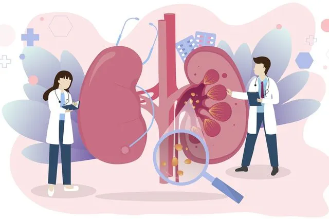 Σημαντική για τη ζωή μας η υγεία των νεφρών