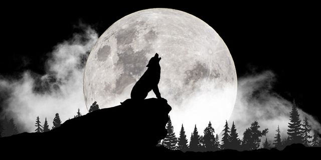 “Φεγγάρι του Λύκου”: Πότε θα δούμε την πρώτη πανσέληνο του 2026