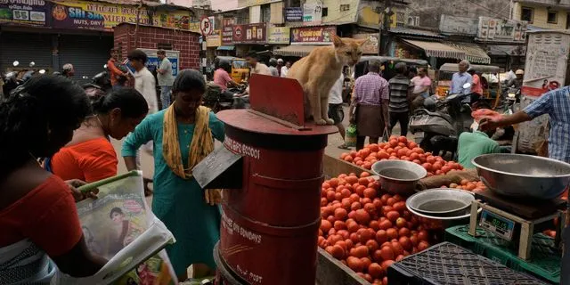 ΠΟΥ: Πόσο πιθανό είναι να επεκταθεί ο θανατηφόρος ιός Νίπα πέραν της Ινδίας
