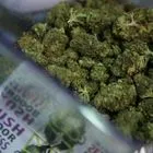 Πειραιάς: Κατασχέθηκαν 219 κιλά κάνναβης – Η αξία της ξεπερνά τις 750.000 ευρώ