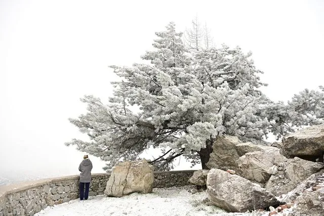 Στα λευκά η Πάρνηθα – Πώς θα εξελιχθεί το κύμα ψύχους, πού θα χιονίσει