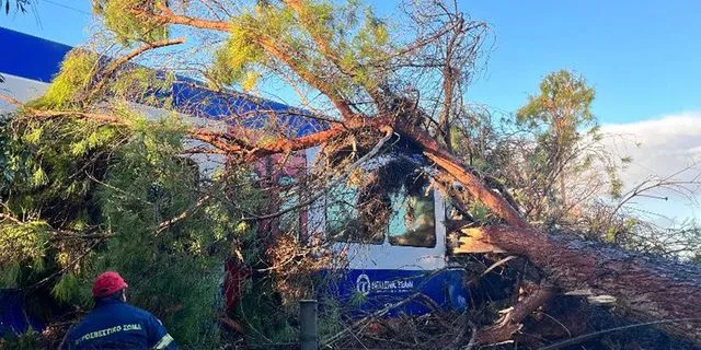 Πύργος: Δέντρο καρφώθηκε σε εν κινήσει τρένο – Στο νοσοκομείο ο μηχανοδηγός