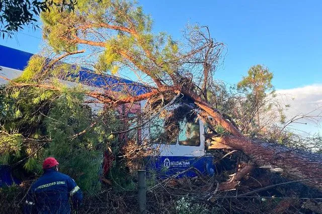 Πύργος: Δέντρο καρφώθηκε σε τρένο εν κινήσει – Στο νοσοκομείο ο μηχανοδηγός