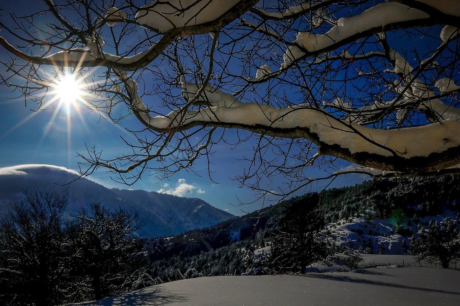 Σαμαρίνα Γρεβενών