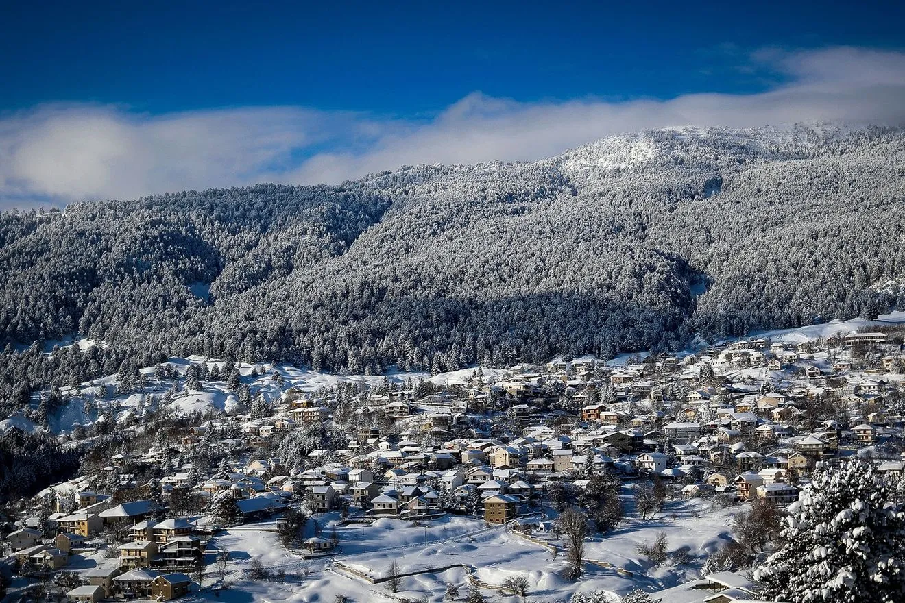 Σαμαρίνα Γρεβενών