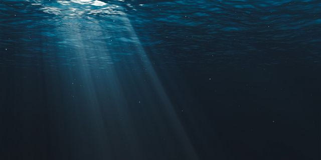 Βρέθηκαν νέα είδη ζώων που ζούσαν πριν από 500 εκατομμύρια χρόνια