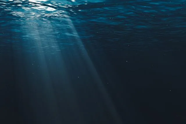 Βρέθηκαν νέα είδη ζώων που ζούσαν πριν από 500 εκατομμύρια χρόνια