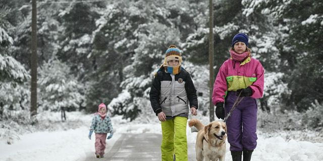 Χιονόπτωση