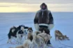 Dog sledding στον Αρκτικό Κύκλο έκανε ο Ζλάταν Ιμπραχίμοβιτς