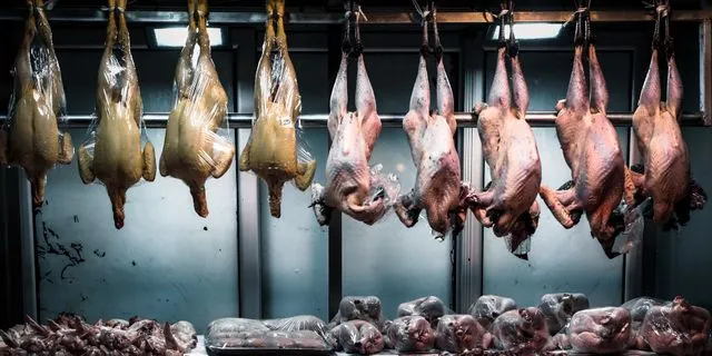 Το κοτόπουλο στο πιάτο μας: Όταν το φθηνότερο δεν είναι απαραίτητα και καλύτερο