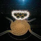 Χειμερινοί Ολυμπιακοί Αγώνες: Η έναρξη με Μαράια Κάρει και η είσοδος της ελληνικής αποστολής