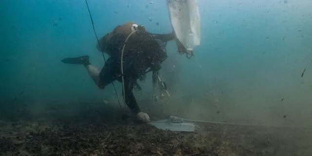 “Posidonia Oceanica: Do Not Disturb”: Μια βουτιά πιο κοντά στην προστασία των λιβαδιών Ποσειδωνίας