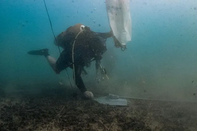 “Posidonia Oceanica: Do Not Disturb”: Μια βουτιά πιο κοντά στην προστασία των λιβαδιών Ποσειδωνίας