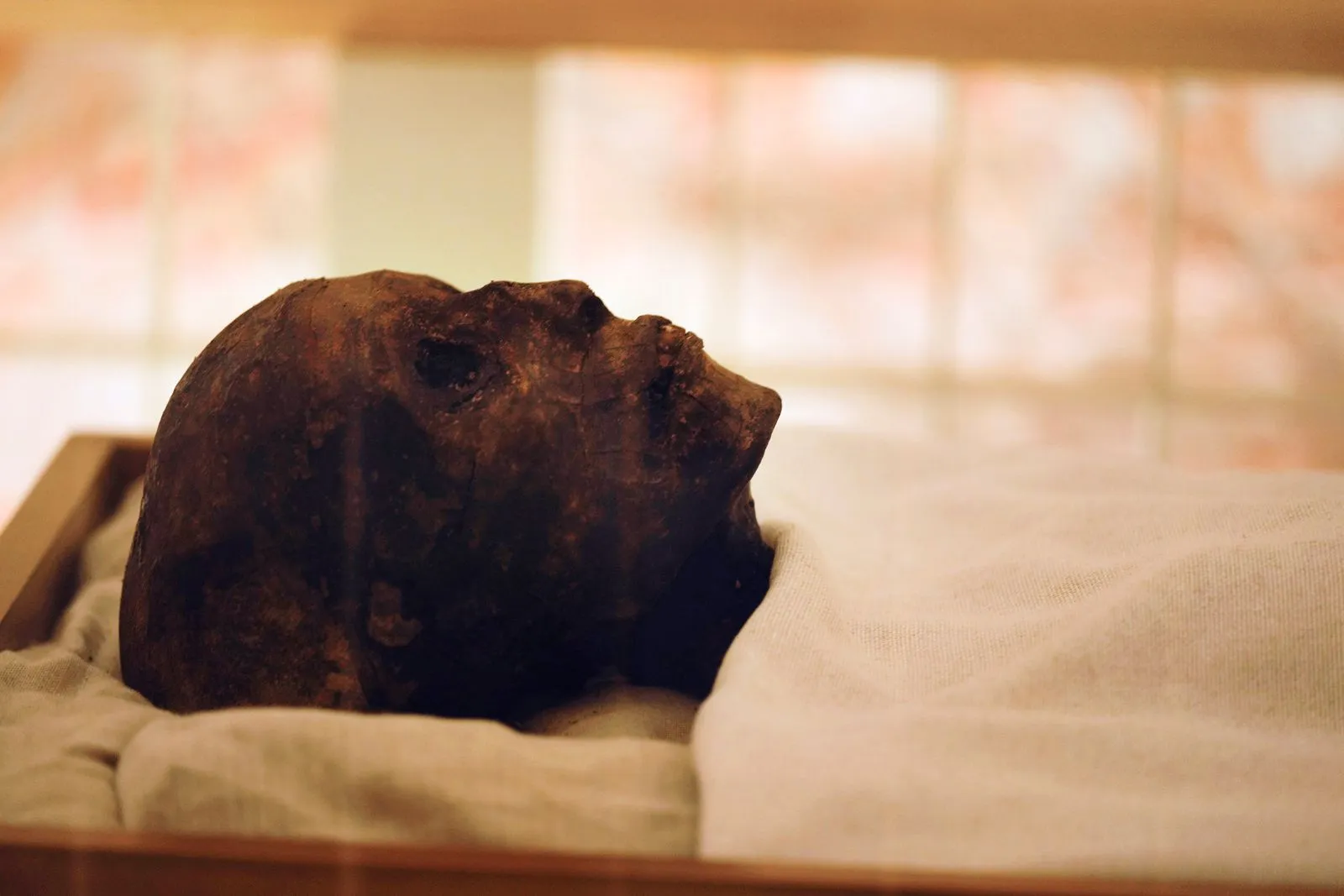 Η μούμια του Τουταγχαμών