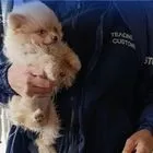 “Λαβράκια” στα τελωνεία: Χιλιάδες μετρητά, χρυσός και εκατομμύρια τσιγάρα στα χέρια της ΑΑΔΕ