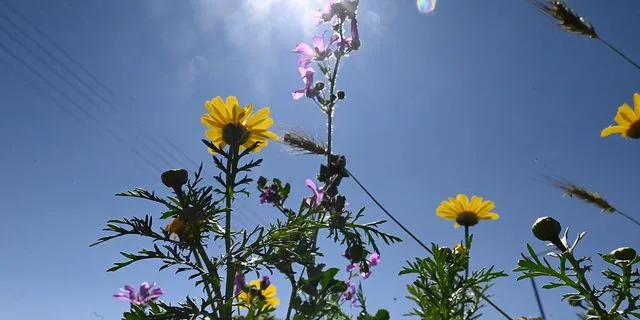 ΚΑΙΡΟΣ - ΑΝΟΙΞΙΑΤΙΚΟ ΣΤΙΓΙΟΤΥΠΟ