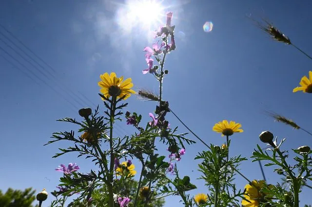 ΚΑΙΡΟΣ - ΑΝΟΙΞΙΑΤΙΚΟ ΣΤΙΓΙΟΤΥΠΟ