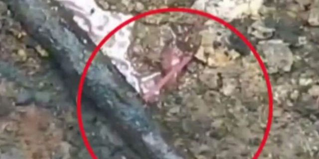 Βιολάντα: Έφοδος της ΔΑΕΕ στο σπίτι και το γραφείο του ιδιοκτήτη – Βίντεο ντοκουμέντο από το σημείο διαρροής