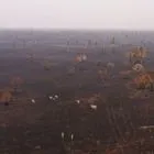 Η εκτροφή ζώων για γούνα και η ηθική μόδα στην Ευρώπη: Προοπτικές