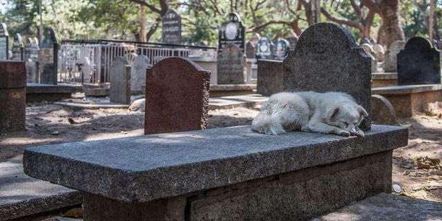 Φωτογραφία αρχείου