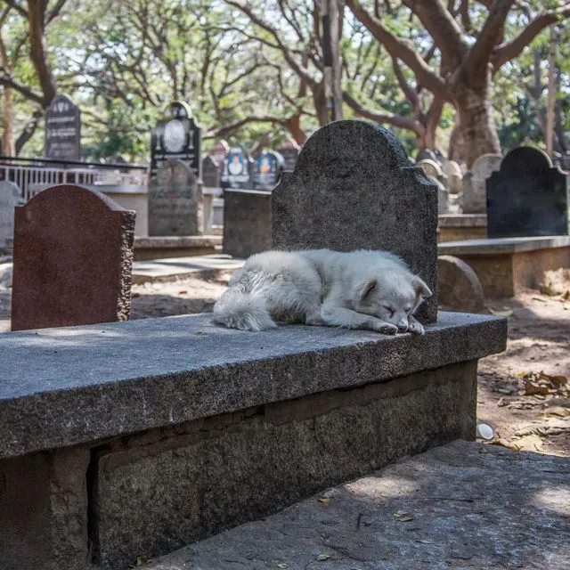 Φωτογραφία αρχείου