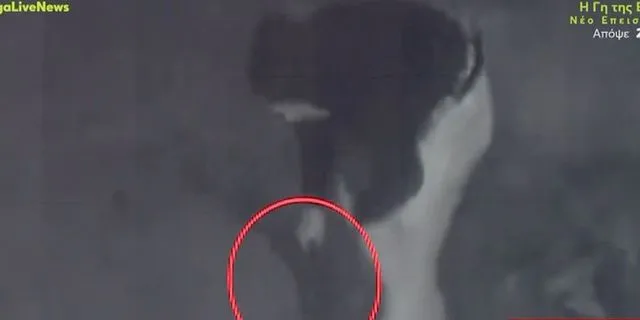 “Με πυροβόλησαν και με άφησαν πεθαμένο” – Συγκλονίζει ο κτηνοτρόφος για την επίθεση στο Ρέθυμνο