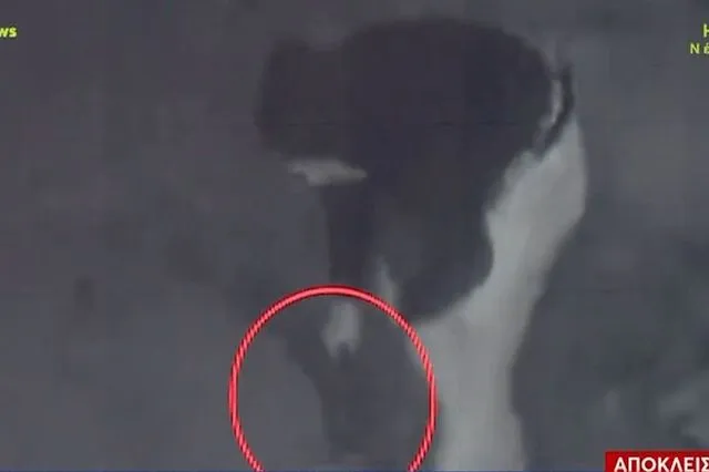 “Με πυροβόλησαν και με άφησαν πεθαμένο” – Συγκλονίζει ο κτηνοτρόφος για την επίθεση στο Ρέθυμνο