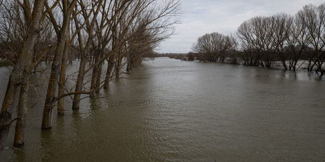 Πλημμυρισμένες εκτάσεις λόγω της ανόδου της στάθμης του ποταμού Έβρου έπειτα από τις έντονες βροχοπτώσεις των προηγούμενων ημερών