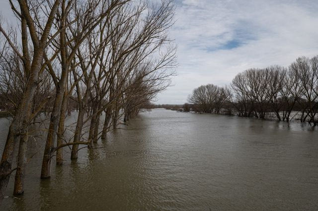 Πλημμυρισμένες εκτάσεις λόγω της ανόδου της στάθμης του ποταμού Έβρου έπειτα από τις έντονες βροχοπτώσεις των προηγούμενων ημερών