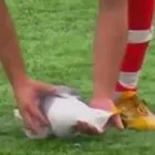 Βολέ τερματοφύλακα συνέτριψε γλάρο: Ποδοσφαιριστής έσωσε το πτηνό με ΚΑΡΠΑ