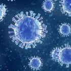 Ισπανία: Προειδοποιεί για μετάδοση μιας παραλλαγής του ιού της γρίπης των χοίρων