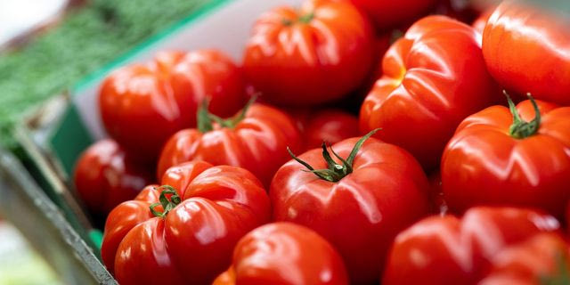 Damavand: Σταθερό πλαίσιο τιμών για τη βιομηχανική τομάτα το 2026