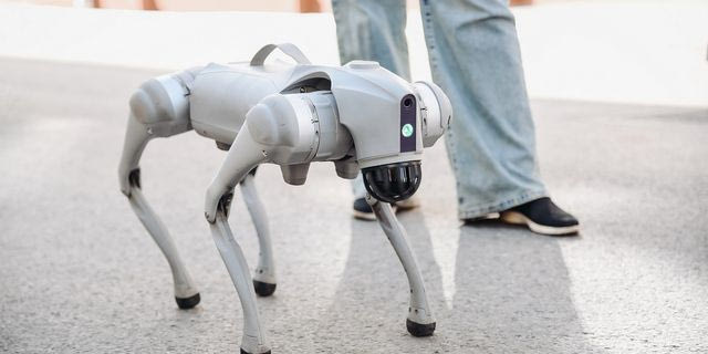 Ένας ρομποτικός σκύλος