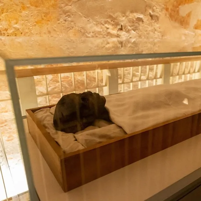 Η μούμια του Φαραώ Τουταγχαμών